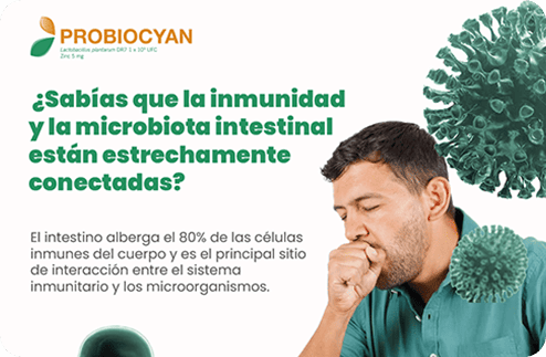 Productos participantes